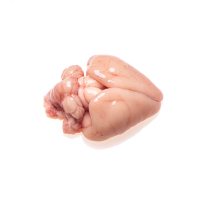 Brain Tissue for Research