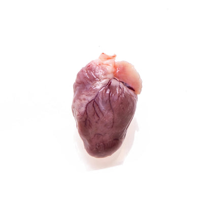 Heart Tissue for Research