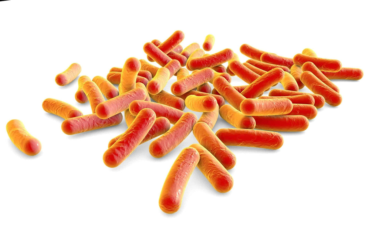 Expanding luminescence-based SBA to 7 Shigella serotypes with Pel-Freez baby rabbit complement