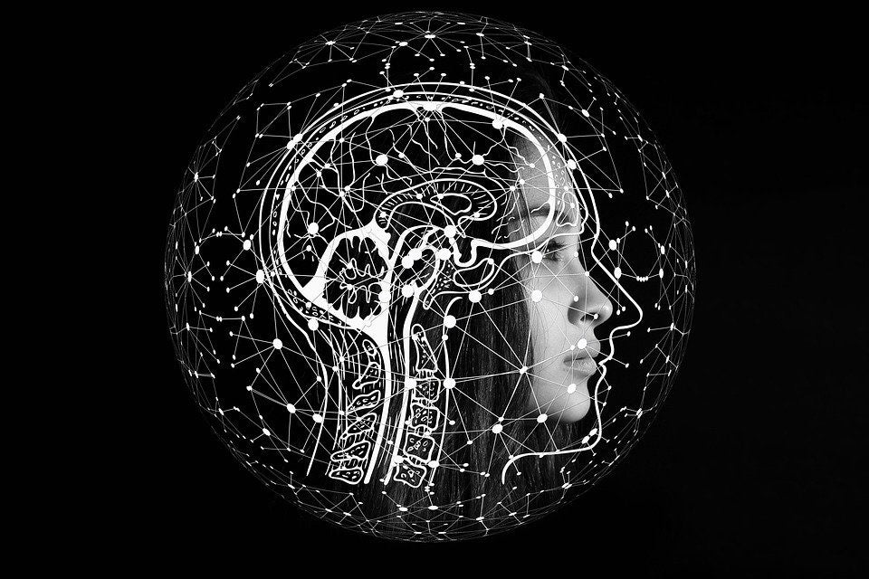 The Future of Antibodies in Neuroscience