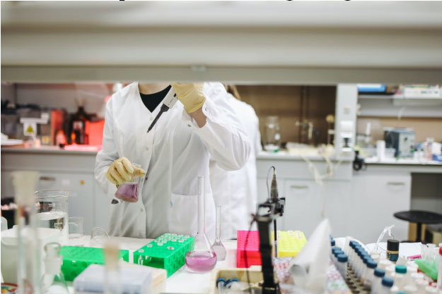 Understanding Immunoassay Development: Sourcing Reagents