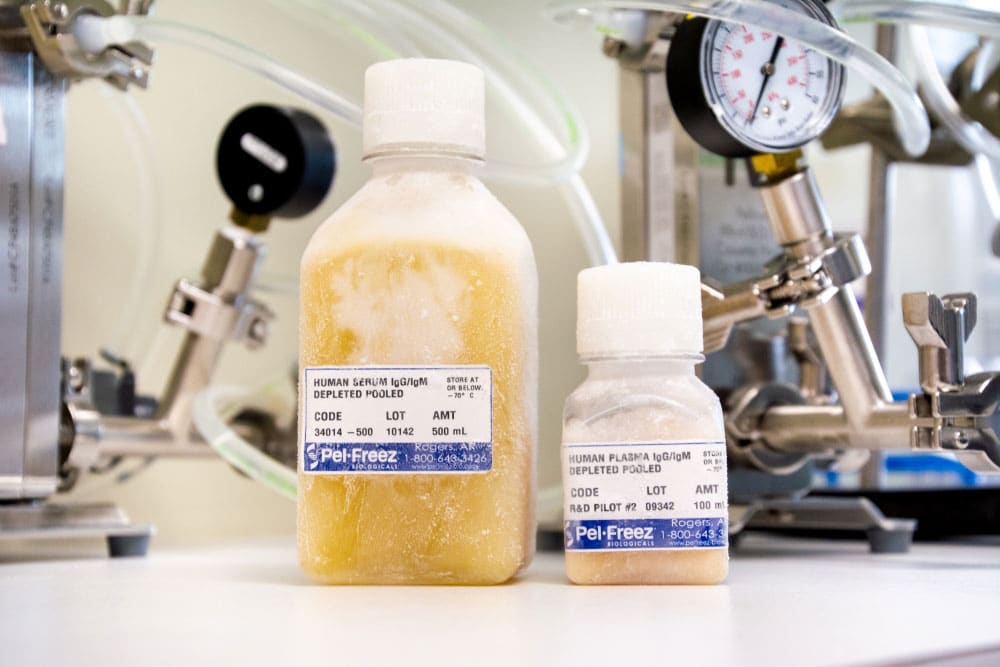 Antibody Depleted Human Complement: We’ve Scaled Up Our Process!