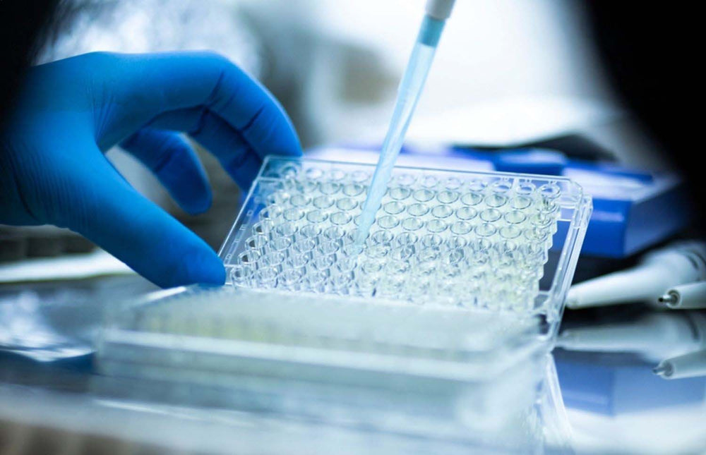 Inside coagulation screening tests: The reagents behind reliable PT and aPTT results
