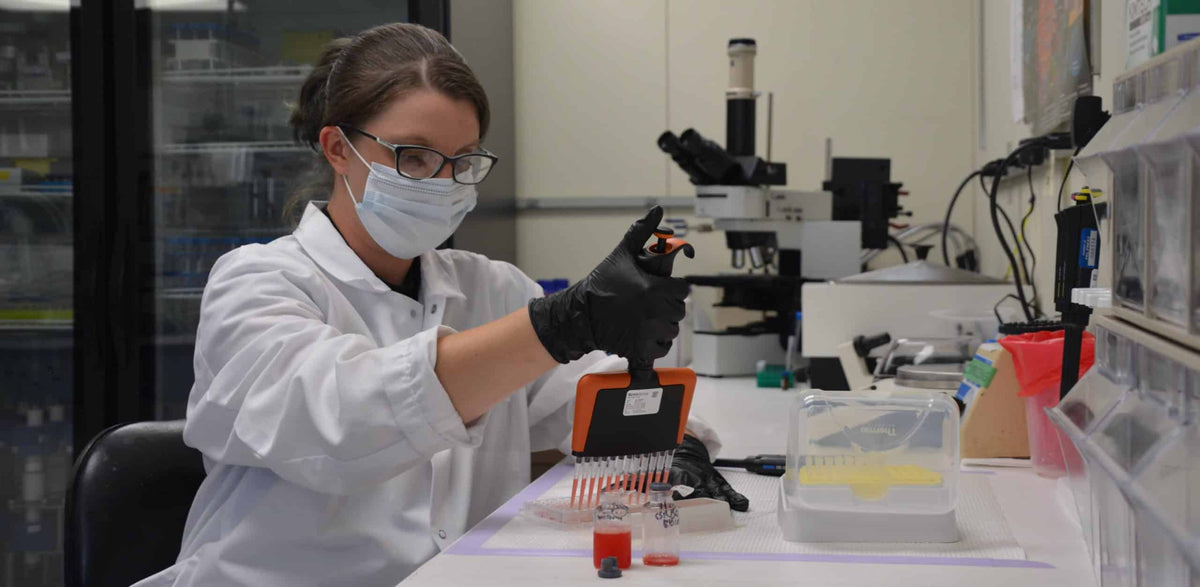 A Standardized High-Throughput Serum Bactericidal Assay for N. gonorrhoeae published by Pel-Freez and FDA Researchers