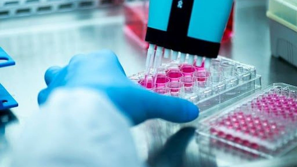 Complement Activity Explained: CH50 and Hemolytic Titer