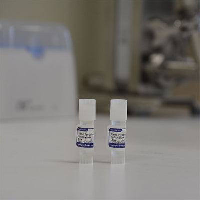 Neuroscience Antibodies