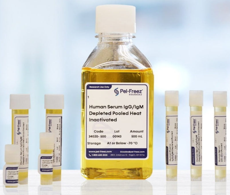 Human Blood for Research