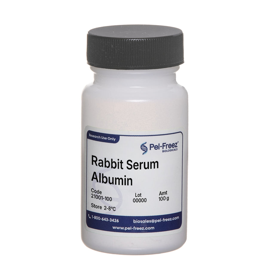 Rabbit Serum Albumin