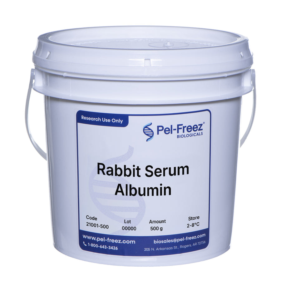 Rabbit Serum Albumin