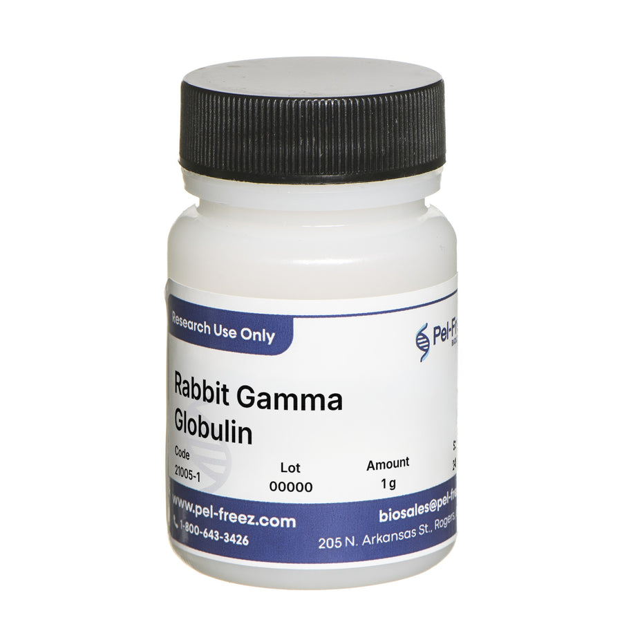 Rabbit Gamma Globulin