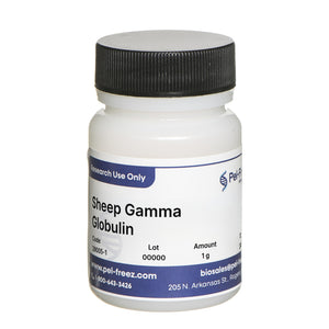 Sheep Gamma Globulin
