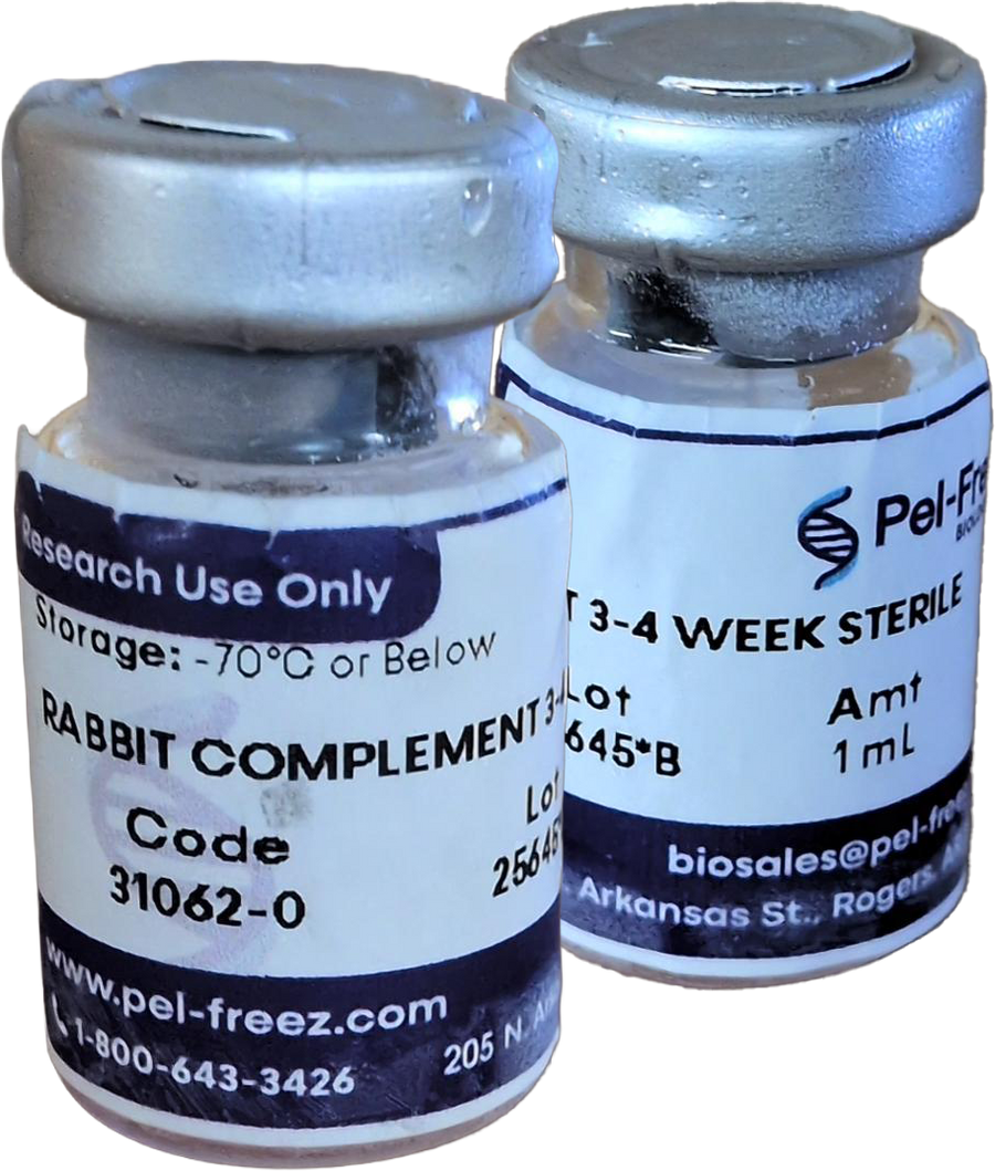 Baby Rabbit Complement