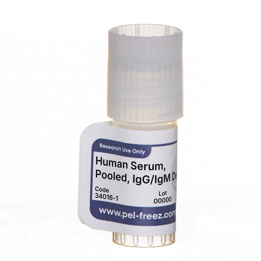 Human Serum, Pooled, IgG/IgM Depleted