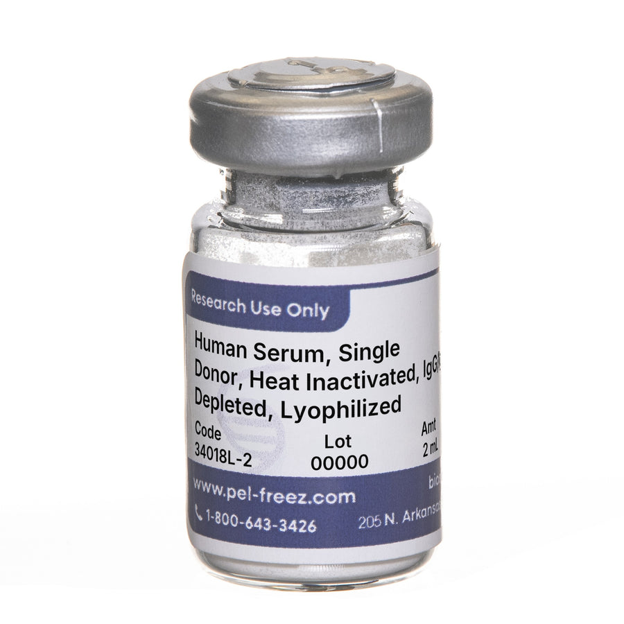 Human Serum, Single Donor, Heat Inactivated, IgG/IgM Depleted, Lyophilized