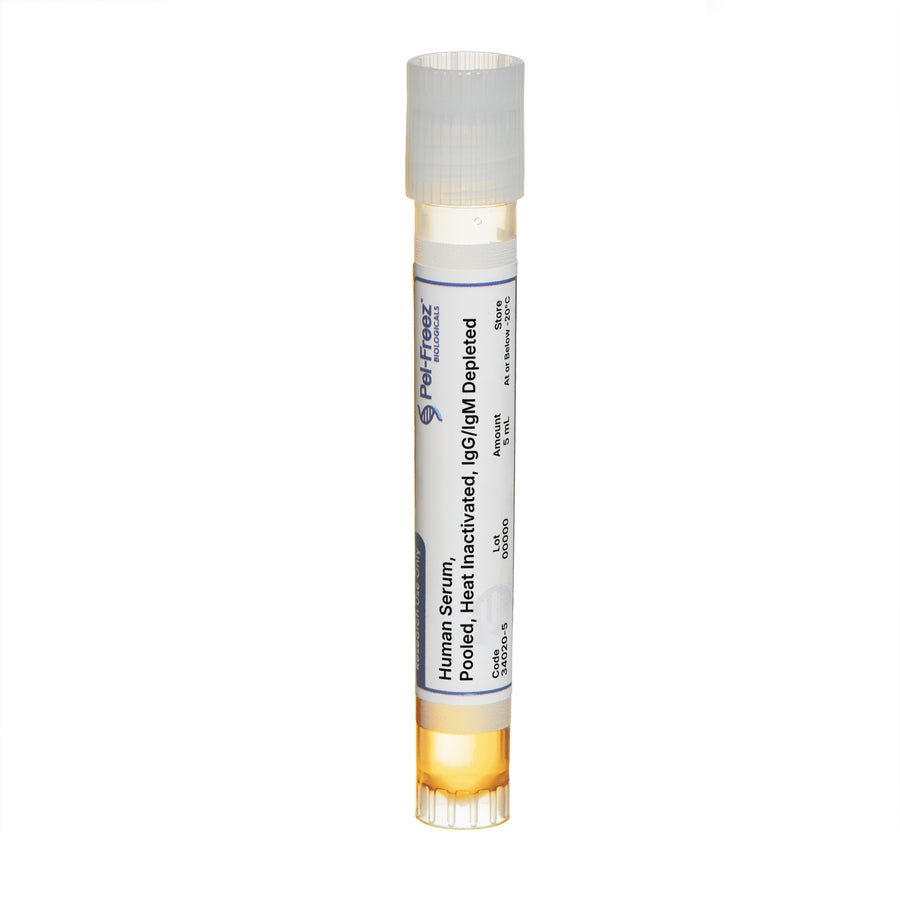 Human Serum, Pooled, Heat Inactivated, IgG/IgM Depleted