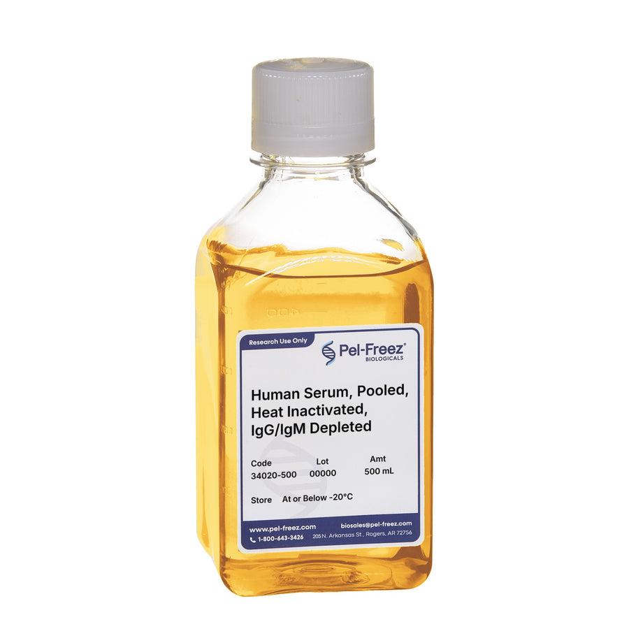 Human Serum, Pooled, Heat Inactivated, IgG/IgM Depleted