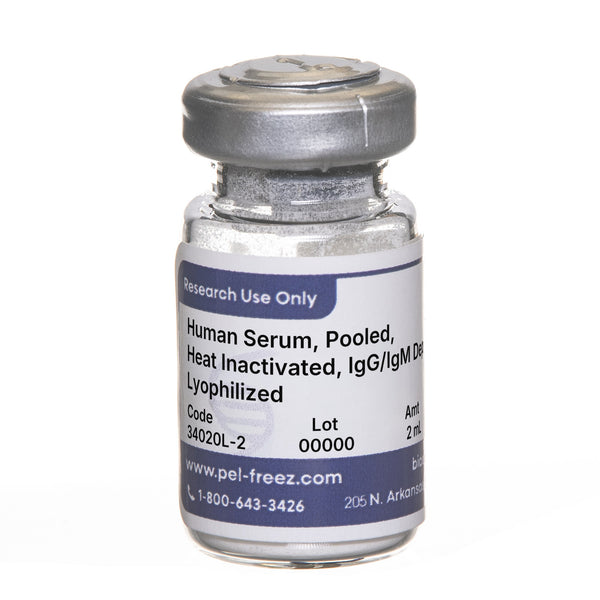 Human Serum, Pooled, Heat Inactivated, IgG/IgM Depleted, Lyophilized