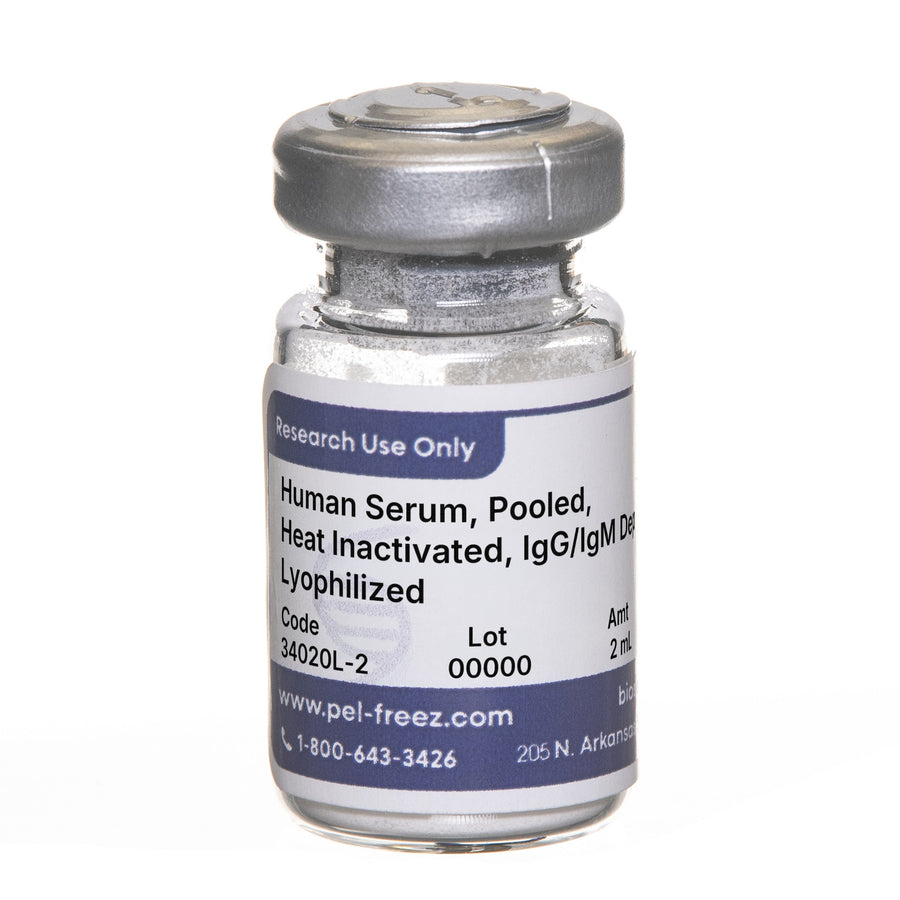 Human Serum, Pooled, Heat Inactivated, IgG/IgM Depleted, Lyophilized