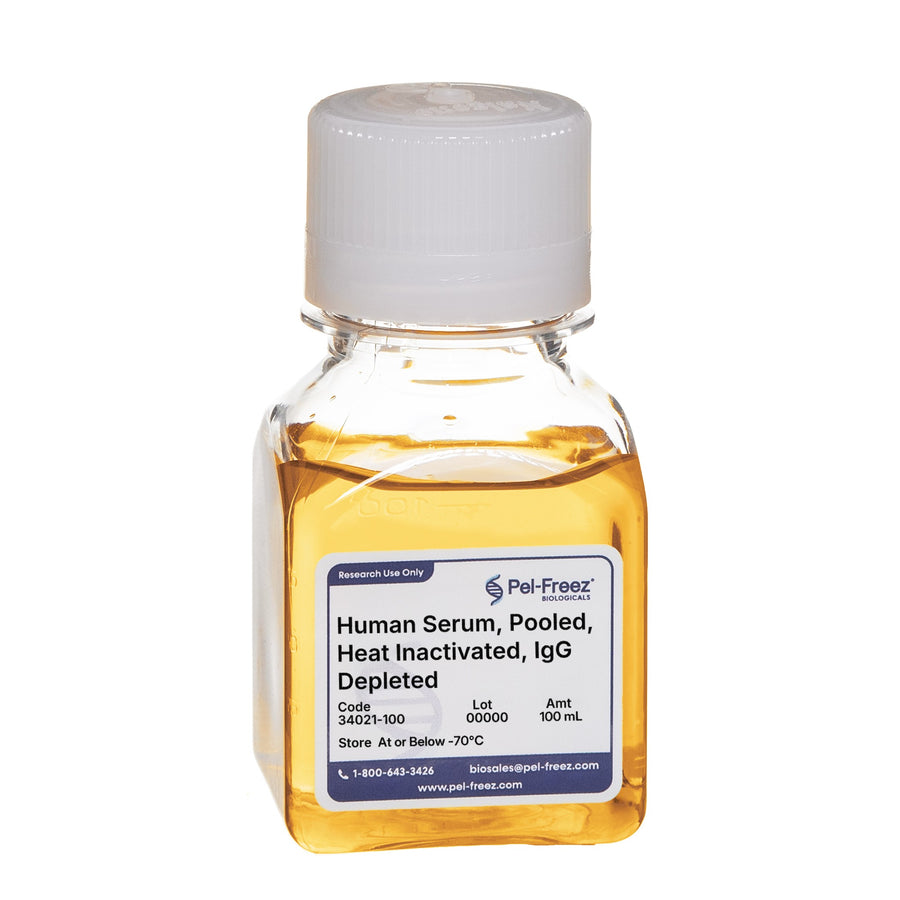 Human Serum, Pooled, Heat Inactivated, IgG Depleted