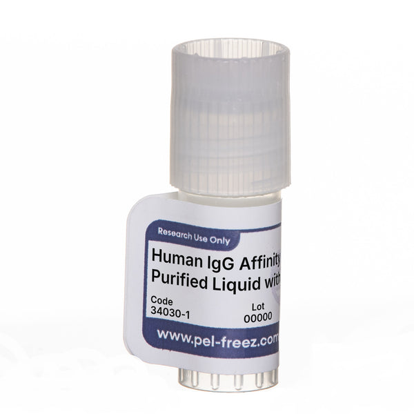 Human IgG, Affinity Purified, Azide