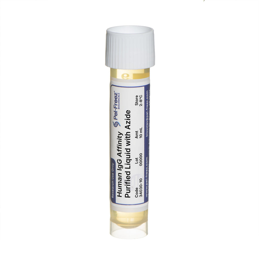 Human IgG, Affinity Purified, Azide