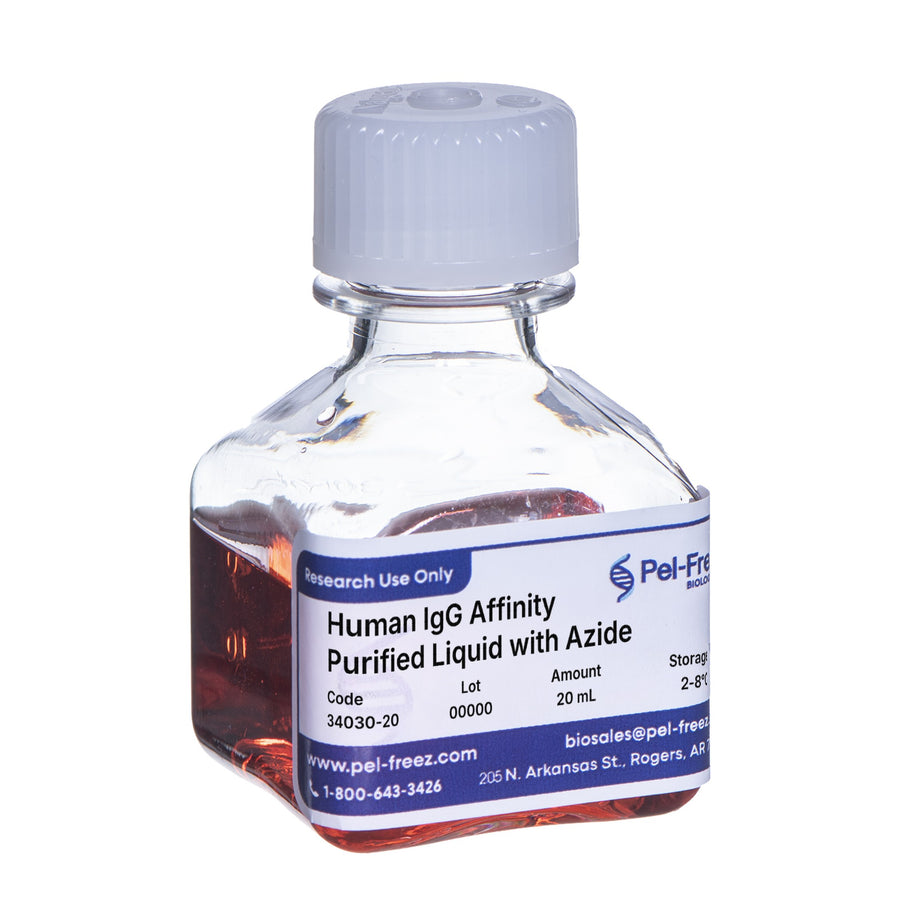 Human IgG, Affinity Purified, Azide