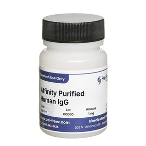 Human IgG, Affinity Purified, Lyophilized