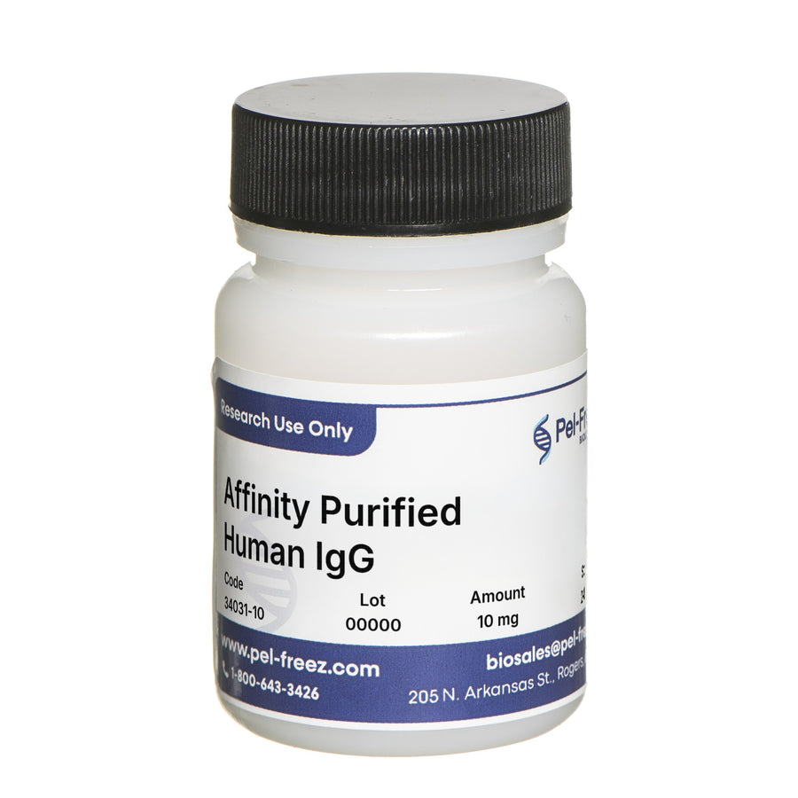 Human IgG, Affinity Purified, Lyophilized