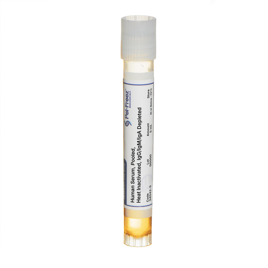 Human Serum, Pooled, Heat Inactivated, IgG/IgM/IgA Depleted