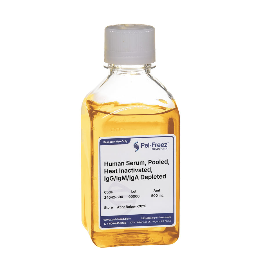 Human Serum, Pooled, Heat Inactivated, IgG/IgM/IgA Depleted