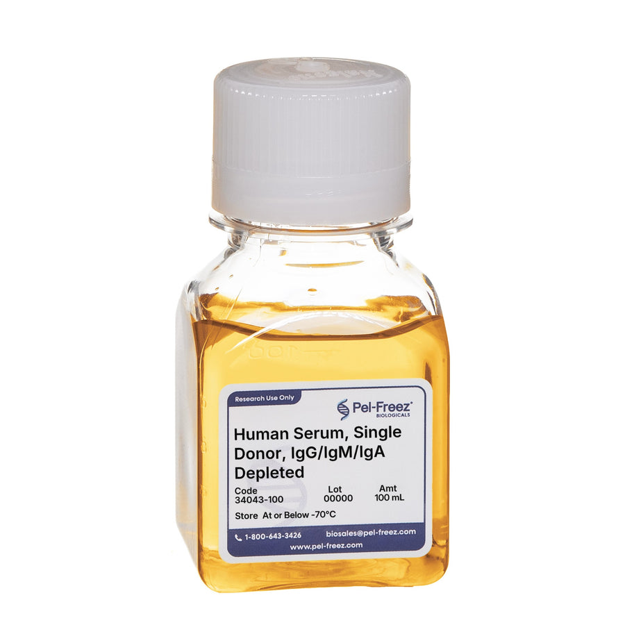 Human Serum, Single Donor, IgG/IgM/IgA Depleted