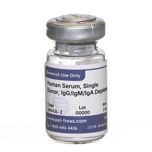 Human Serum, Single Donor, Heat Inactivated, IgG/IgM/IgA Depleted, Lyophilized