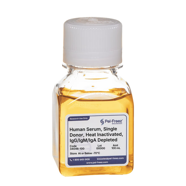 Human Serum, Single Donor, Heat Inactivated, IgG/IgM/IgA Depleted