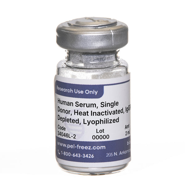 Human Serum, Single Donor, Heat Inactivated, IgG/IgM/IgA Depleted, Lyophilized