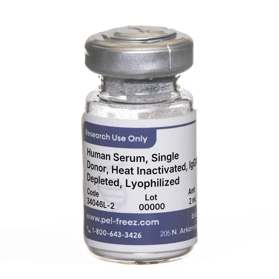 Human Serum, Single Donor, Heat Inactivated, IgG/IgM/IgA Depleted, Lyophilized