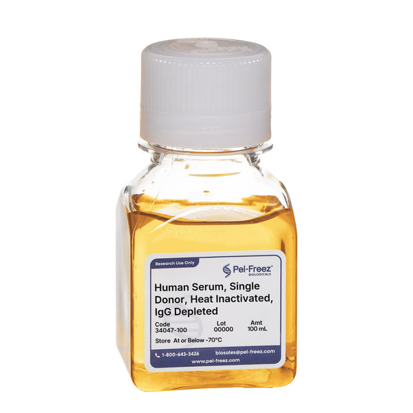Human Serum, Single Donor, Heat Inactivated, IgG Depleted