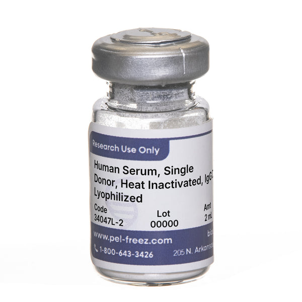 Human Serum, Single Donor, Heat Inactivated, IgG Depleted, Lyophilized