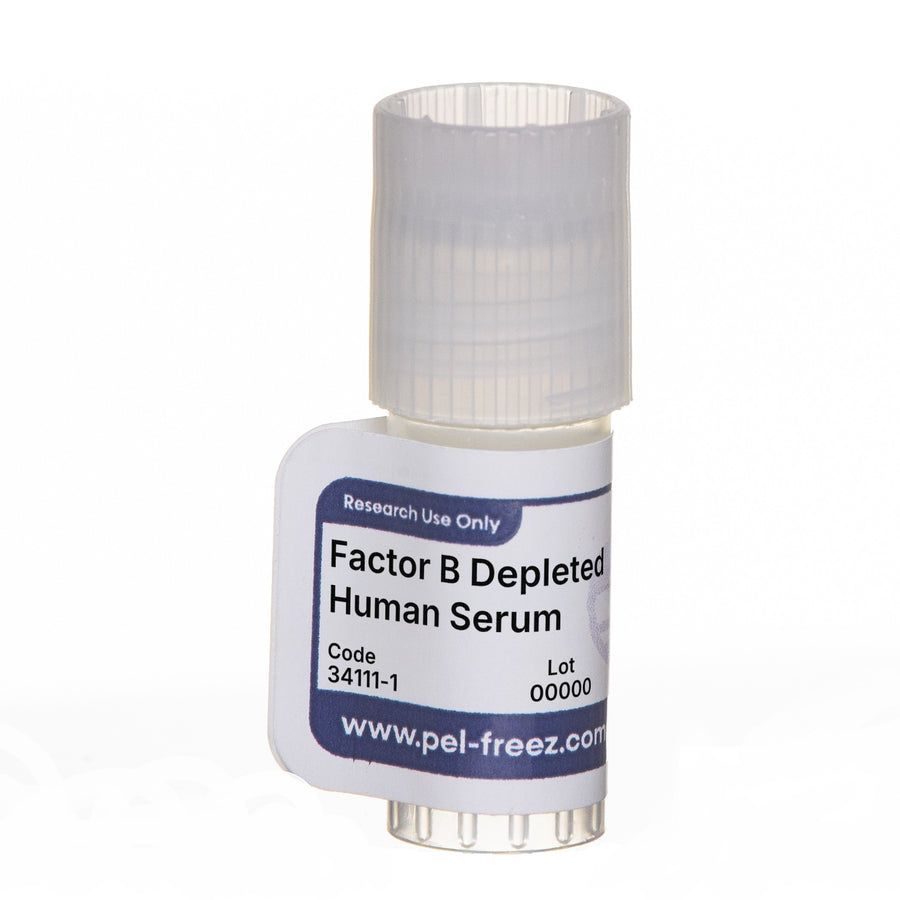 Human Serum, Pooled, Factor B Depleted