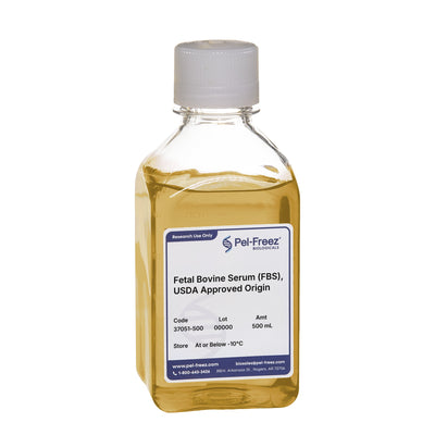 Fetal Bovine Serum (FBS)