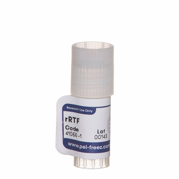 Rabbit Tissue Factor, Recombinant