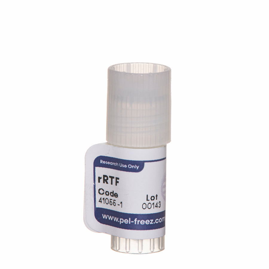 Rabbit Tissue Factor, Recombinant