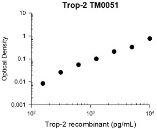 Representative Standard Curve using mouse monoclonal anti-Trop-2 for ELISA capture of human recombinant Trop-2 extracellular region with His-tag. Capture was detected by using an anti-His-tag antibody followed by appropriate secondary antibody conjugated to HRP.