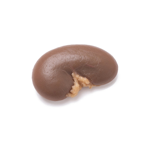 Bovine Adrenal