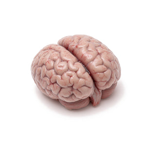 Bovine Brain, Unstripped
