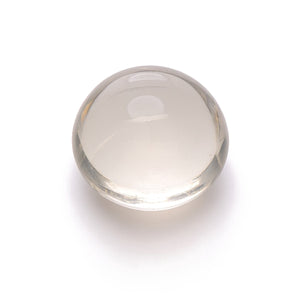 Bovine Lens