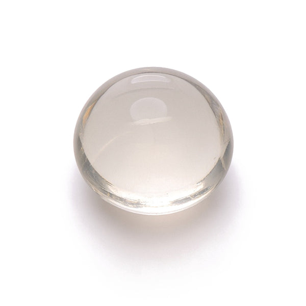 Bovine Lens