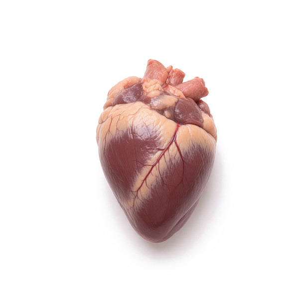 Bovine Heart, Mature