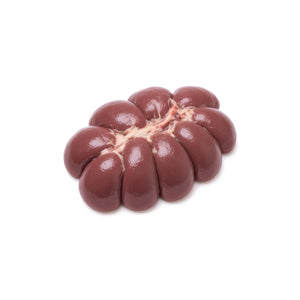 Bovine Kidney