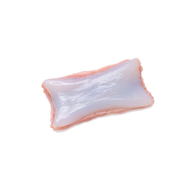 Bovine Nasal Septum