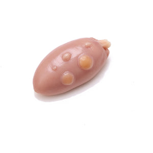 Bovine Ovary, Mature
